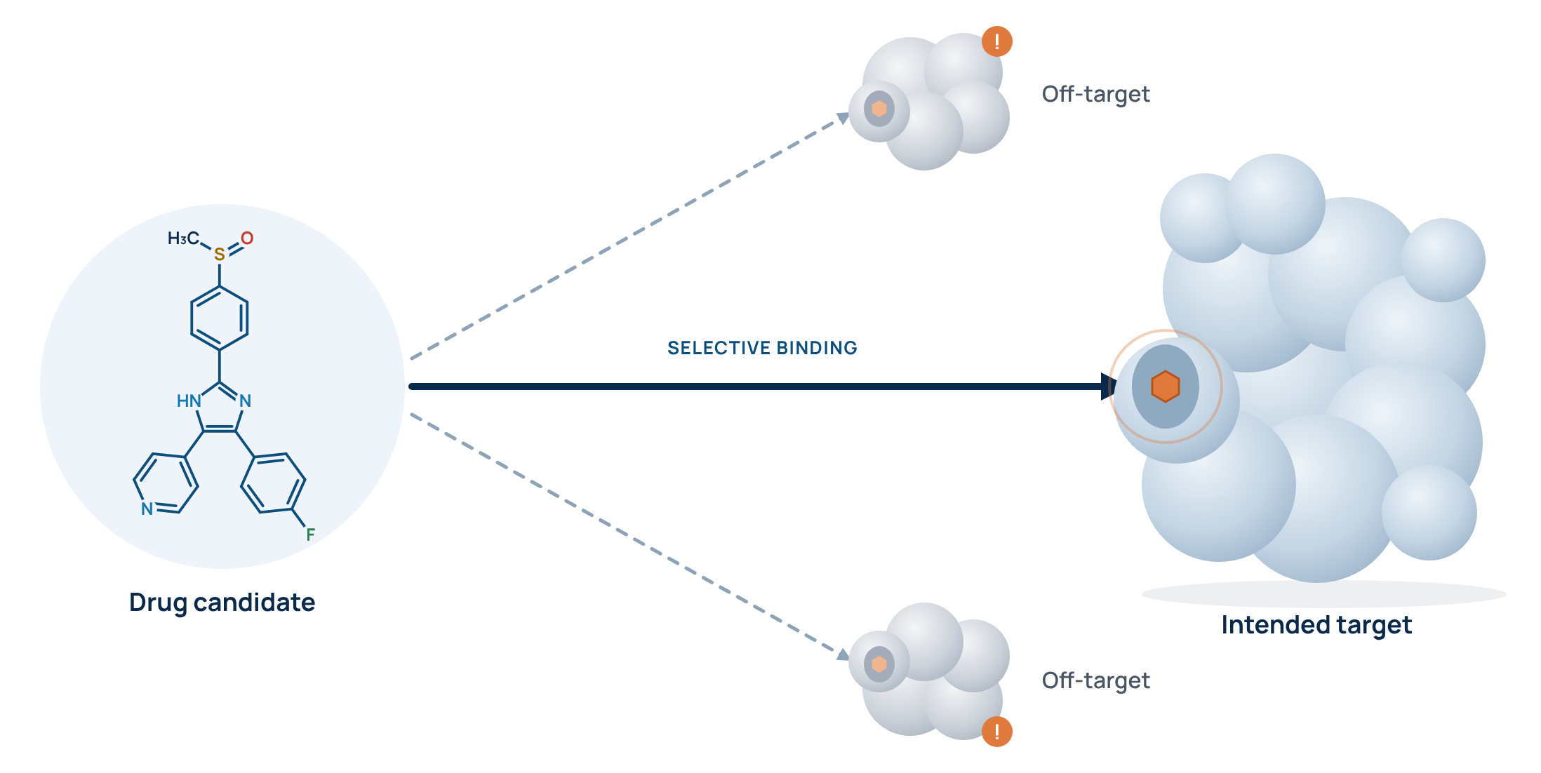 AI-powered Off-Target Prediction